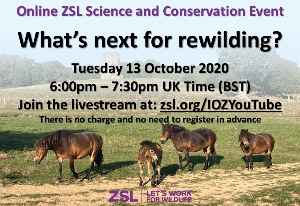 Join us next Tuesday for our first #ZSLtalks event hosted online! 
Hear from Nathalie <a href="/Pettorelli/">Nathalie Pettorelli</a>, <a href="/henrike_stb/">Henrike StB</a>, <a href="/prjepson/">Paul Jepson</a> &amp; <a href="/willbutdontwana/">William Farren</a> about the future of #rewilding, with a focus on the UK.
The event will be livestreamed to zsl.org/IOZYouTube
zsl.org/science/whats-…