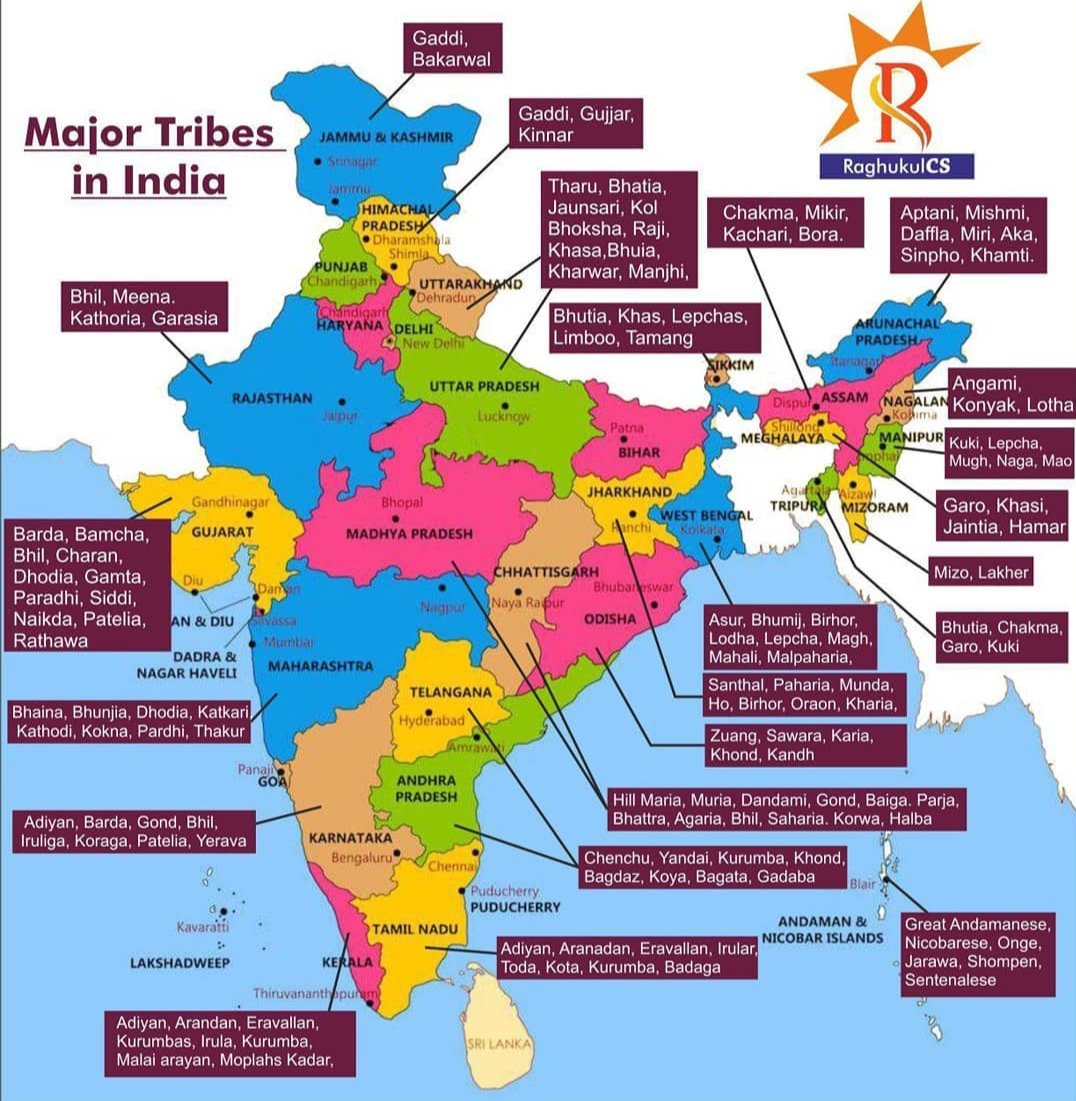 Major tribes in India 🇮🇳