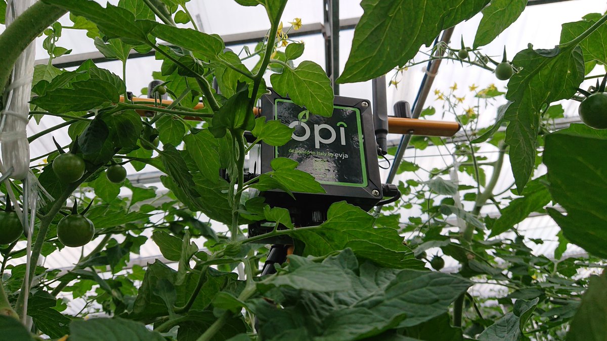 We proud and happy of our first 2 official installations of iGUESSmed! We successfully installed our sensor devices in the @CREA_Ricerca  experimental greenhouses located in Pontecagnano and Pescia, Italy. 

iGUESSmed is part of the @PRIMAInnovation  supported under <a href="/EU_H2020/">Horizon 2020</a>