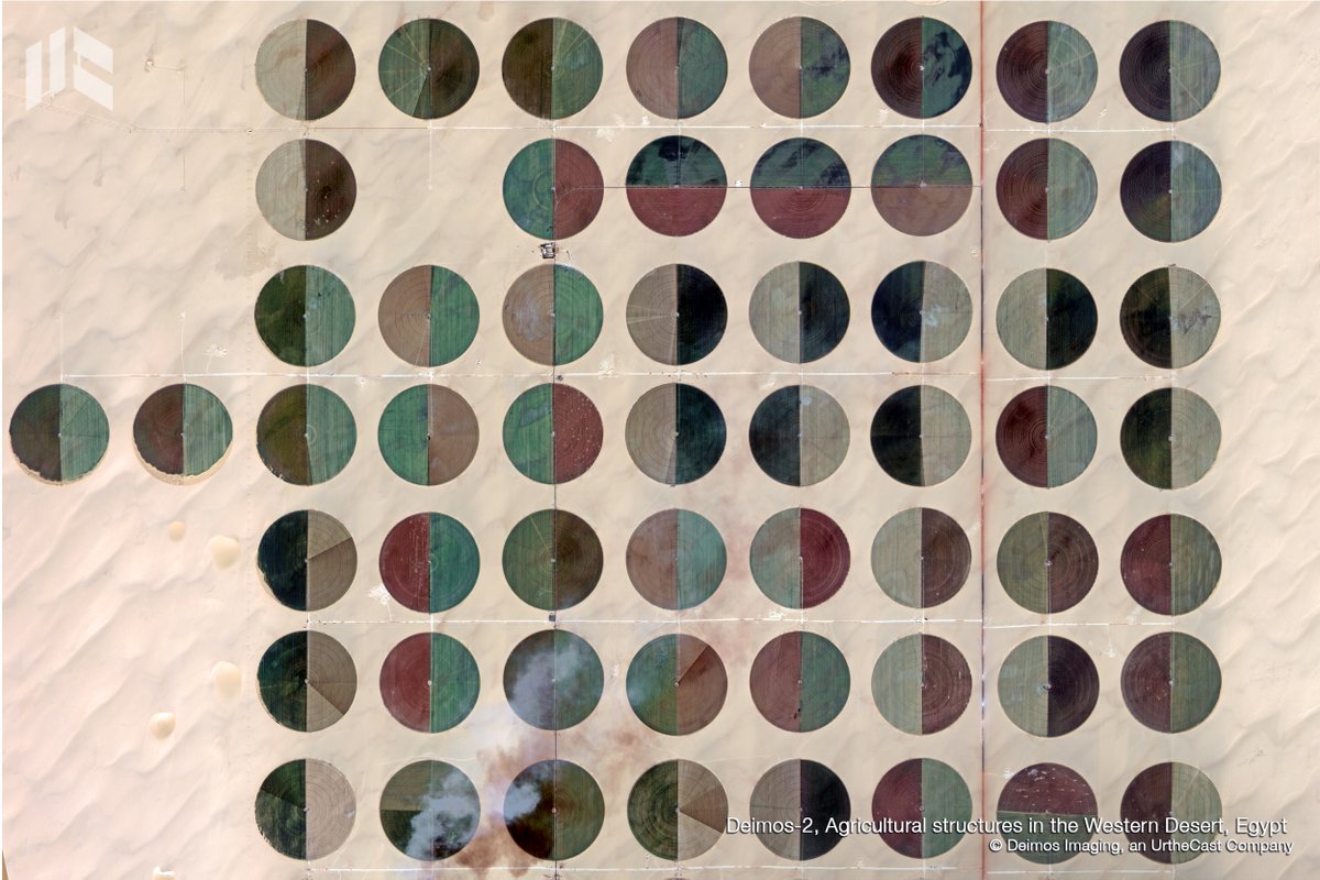 Agricultural structures on #Egypt's Western Desert are seen in great detail from the orbit of #DEIMOS2. #DYK that our data is a key source of information to boost productivity? 🌱 #PrecisionAg #SmartAgriculture #EarthObservation #RemoteSensing #SatelliteImagery