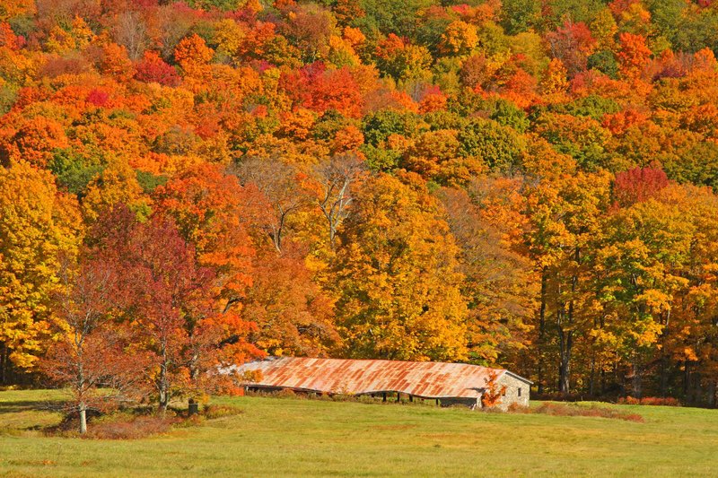 HeatherJandrue's tweet photo. We are headed to the Berkshires this weekend to do some leaf peeping and hiking. Have you been? Any must see places? #TravelTuesday #travelphotography #weekendgetaways https://t.co/QqyEgKNRWr