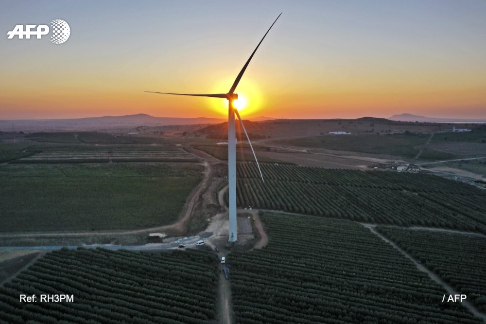 AFP Mideast & North Africa tweet media