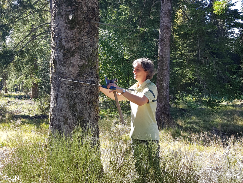 Avez-vous déjà lu notre #article du mois de septembre ?
L'équipe de la Journée internationale des forêts a eu la chance d'interviewer Céline Puech, une #forestière passionnée et passionnante 🌳🌲 journee-internationale-des-forets.fr/5-questions-re…