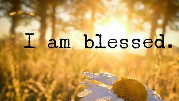 trinitysfaith's tweet image. But Blessed are those who Trust in the LORD and have made the LORD their Hope and Confidence. (Jer 17:7)                          
I Love You Jesus❤️✝️🇺🇸