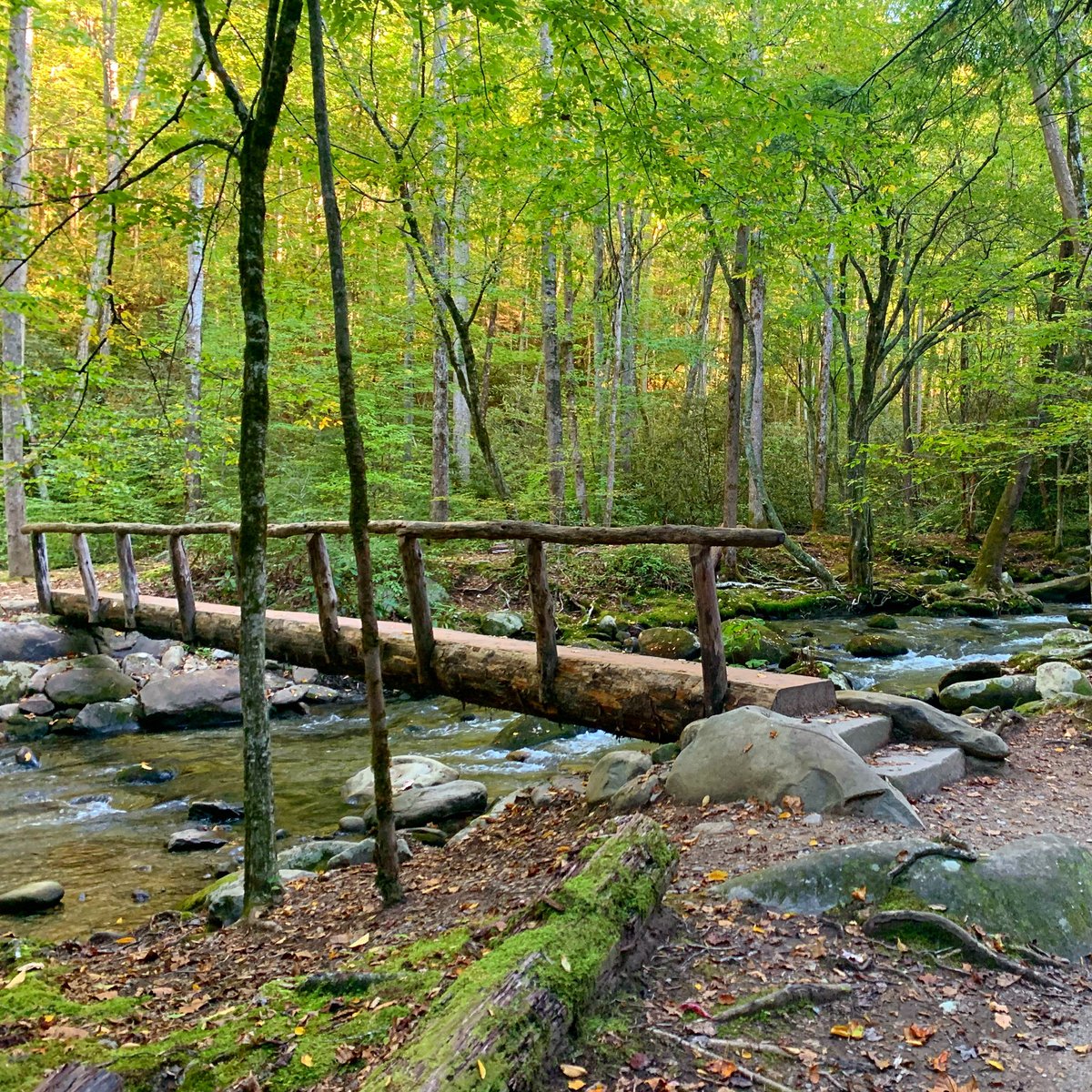 GreatSmokyNPS's tweet photo. You need special shoes for hiking – and a bit of a special soul as well” – Terri Guillemets-

With an abundance of hiking trails for visitors to choose from, there are plenty of places for one to escape the crowds and experience the beauty of the Smokies. #trailstuesday https://t.co/RyyAWiM52W