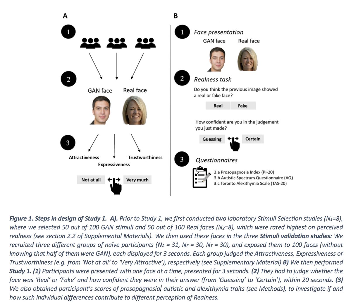Across 3 pre-registered studies we asked whether we can distinguish between GAN & Real faces, the social consequences of our (in)ability to distinguish between GAN & Real faces, & the role of knowledge about the presence of GAN faces in the erosion of trust. Key findings 