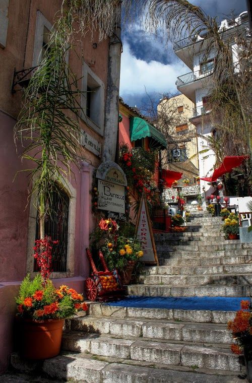 __Liliana____'s tweet photo. Good afternoon! https://t.co/zWQE7TzPof