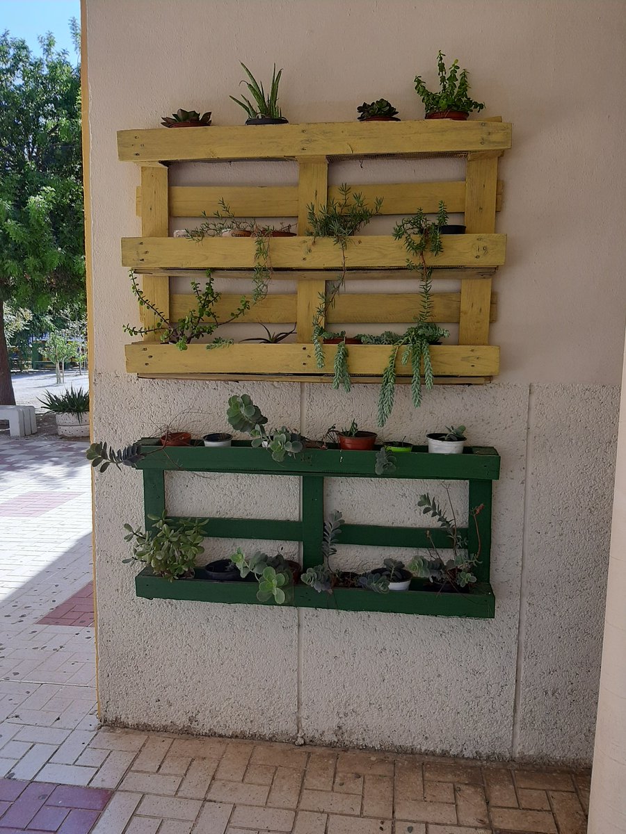 EcoMiraya's tweet photo. Comenzamos el curso reponiendo plantillas nuevas y replanteando con esquejes nuevas. https://t.co/mwZyTvNrC9