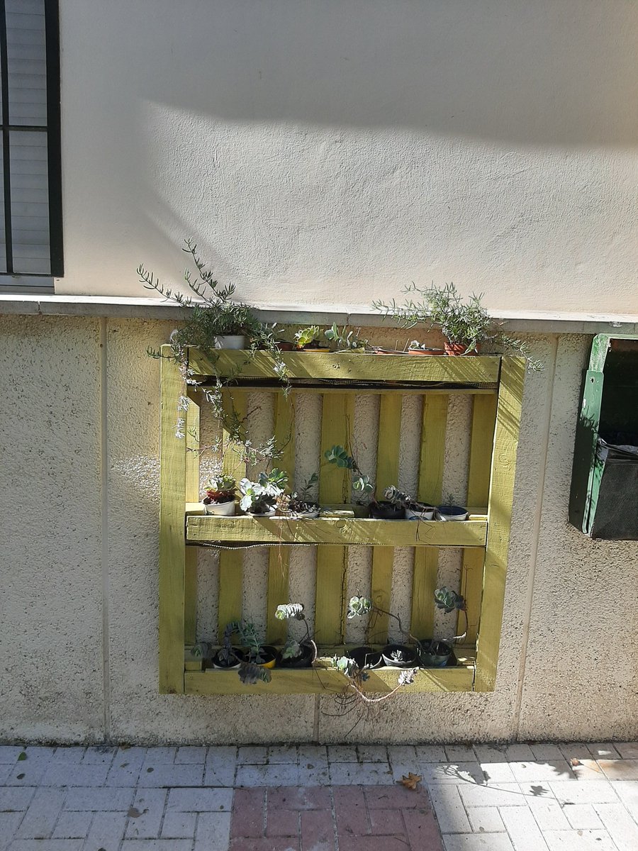 EcoMiraya's tweet photo. Comenzamos el curso reponiendo plantillas nuevas y replanteando con esquejes nuevas. https://t.co/mwZyTvNrC9