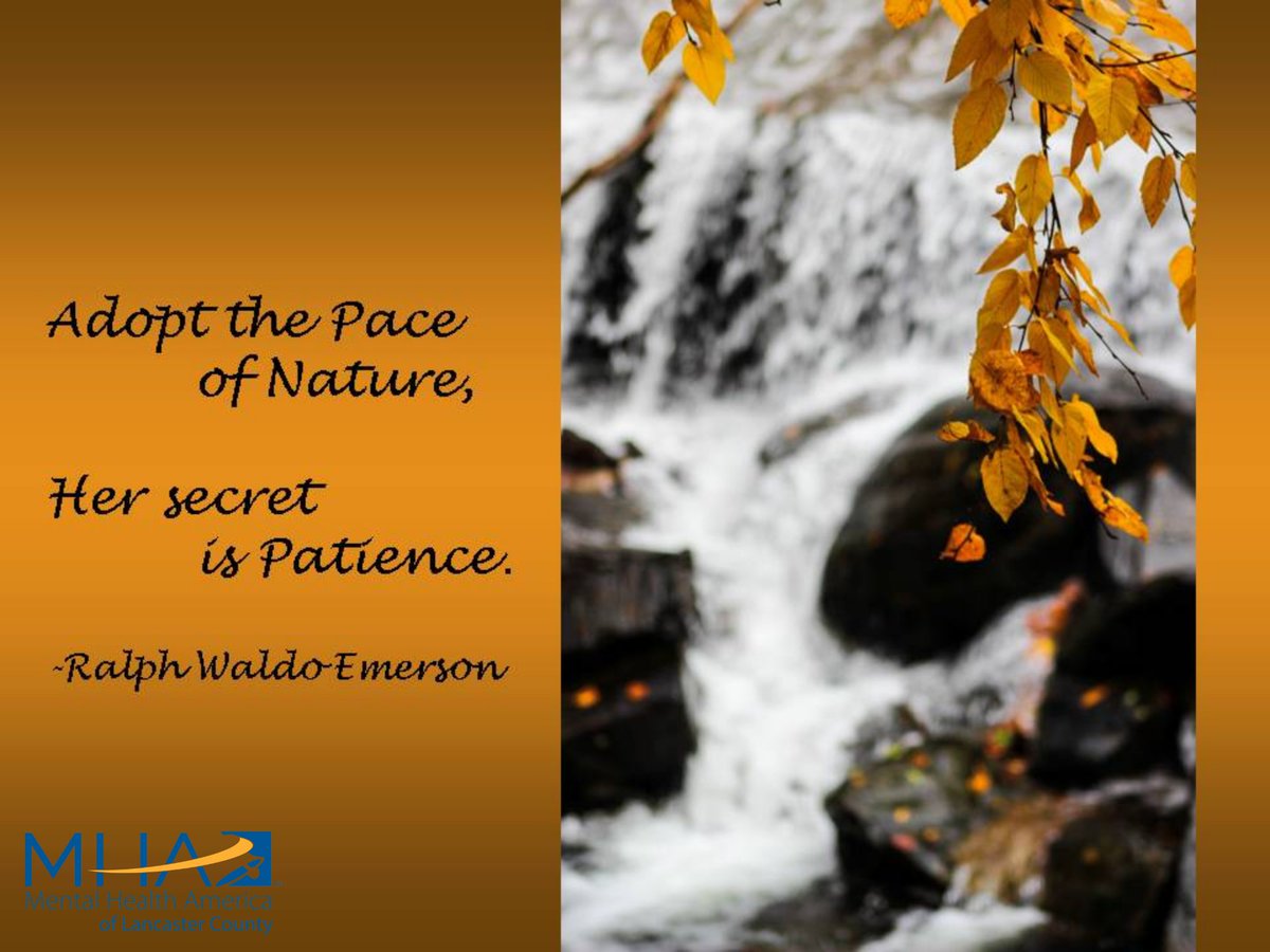 mhalancaster's tweet photo. 2020 has been overwhelming. While we patiently wait for society to return to normal, don't forget that autumn is providing us beautiful ways to find peace when we simply step out our back door. #selfcareessential #mentalhealthessential #mhalancaster https://t.co/tojZDZtDrX