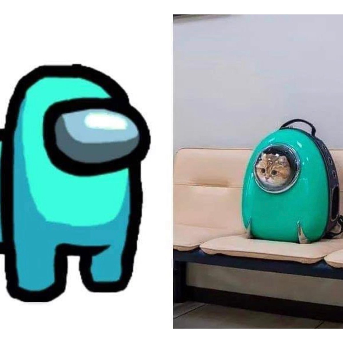 Watercatlor tweet media