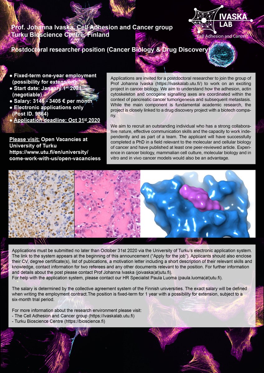 IvaskaLab's tweet photo. We are hiring a postdoc! Want to join a highly international group @BioscienceTurku
 and do some cool experiments? Check out Post ID 9864 @UniTurku https://t.co/FypvqL1unK https://t.co/oefAUpnyC3