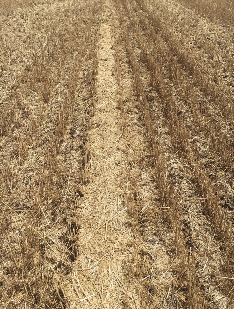 Got a west oz chaffline kit for s series with advanced powercast for sale 2 seasons old. Dm for more info if keen