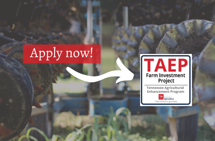 TNFarmBureau's tweet photo. Tomorrow is your LAST day to apply for the Tennessee Agricultural Enhancement Program! We promise you don't want to miss an opportunity to benefit from this incredible cost share program.

APPLY HERE ➡️https://t.co/ADe3zeaZIK

#TNFarmBureau https://t.co/8O0CLYYOpe