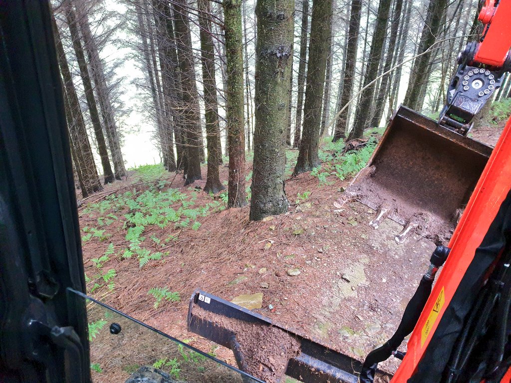 BadgerLlandegla's tweet photo. The drive to work was a little bit on the edge today...๐๐ง๐ฆก
#mtb #llandegla #diggertime https://t.co/hENUkDwHmt