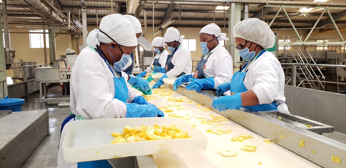 Jahmu__'s tweet photo. By the year 2024 @DelmonteKenya has committed to reaching 10,000 women amongst the employees and community. They plan to provide reproductive health information and services, as well as addressing other critical health needs.
#PrivateSectorAction #UNGA75 https://t.co/d0OmVUvt8G