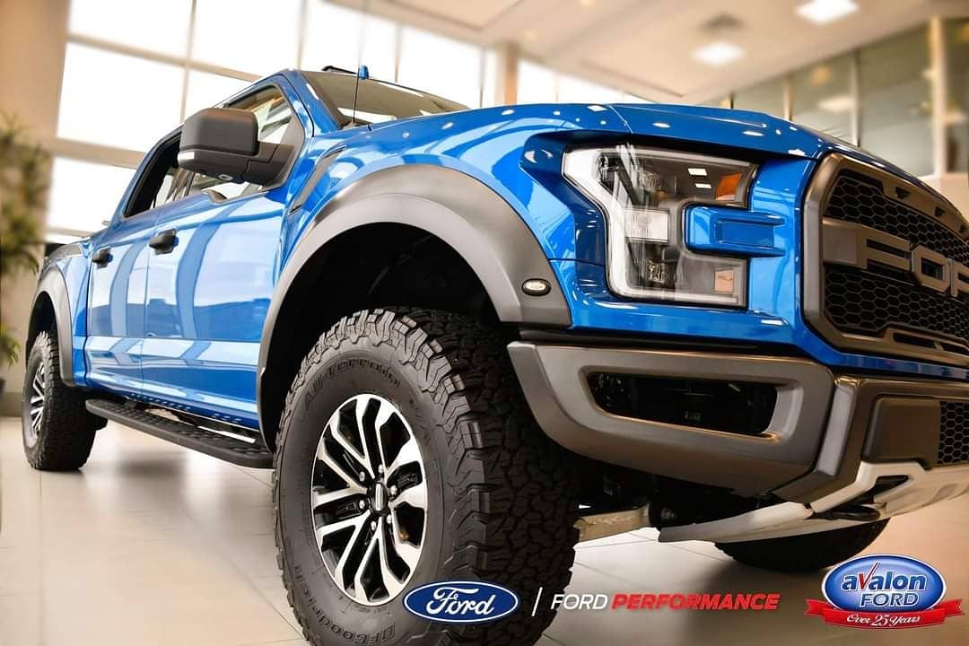 AvalonFord's tweet photo. #testdrivetuesday 😎 Despite what history may have told you, Raptors actually thrive in snow &amp; ice 🦖🌨Schedule a #testdrive at Avalon until 8pm tonight!
📱 754-7500 | 786-1112
📧 sales@avalonford.com
#fordperformance #yyt #fordraptor #drivenewfoundland #ThisMorning https://t.co/aRsPBXnPGR