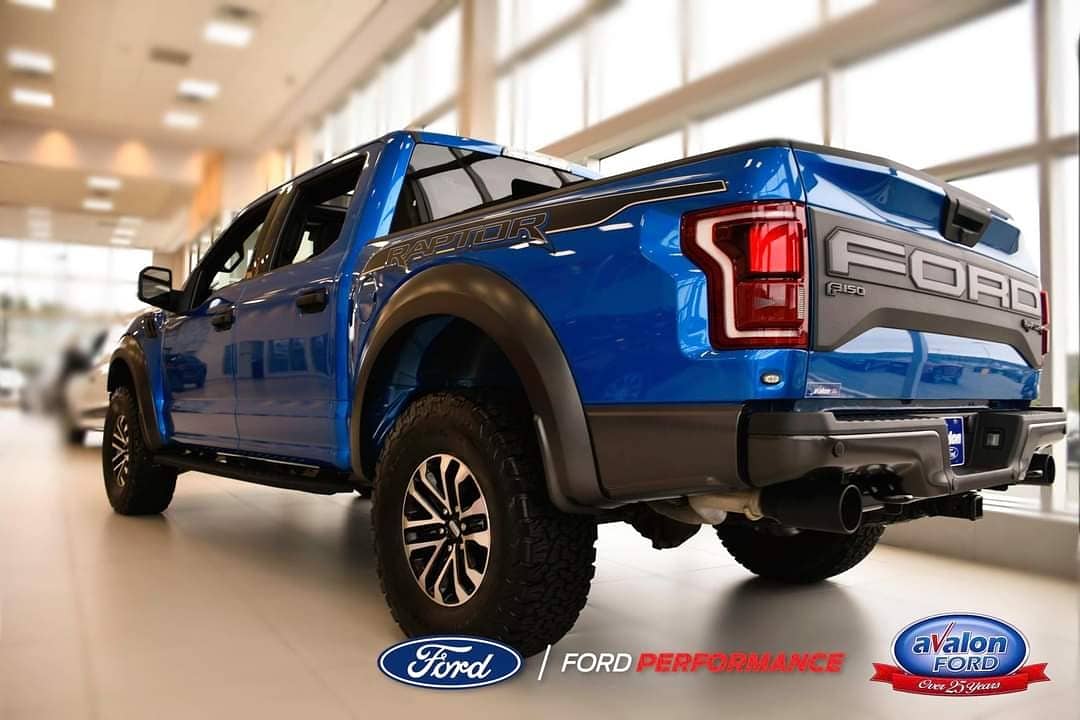 AvalonFord's tweet photo. #testdrivetuesday 😎 Despite what history may have told you, Raptors actually thrive in snow &amp; ice 🦖🌨Schedule a #testdrive at Avalon until 8pm tonight!
📱 754-7500 | 786-1112
📧 sales@avalonford.com
#fordperformance #yyt #fordraptor #drivenewfoundland #ThisMorning https://t.co/aRsPBXnPGR