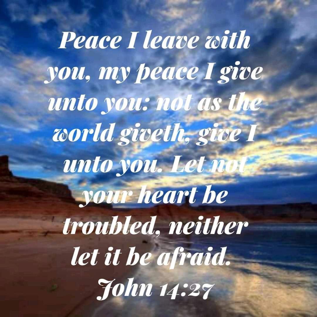 SamahaRitaMaria's tweet photo. Peace I leave with you, my peace I give unto you: not as the world giveth, give I unto you. Let not your heart be troubled, neither let it be afraid.
John 14:27 

Amen 🙏🏻

#TuesdayThought 
#tuesdaymood https://t.co/Uo9w2y47fU