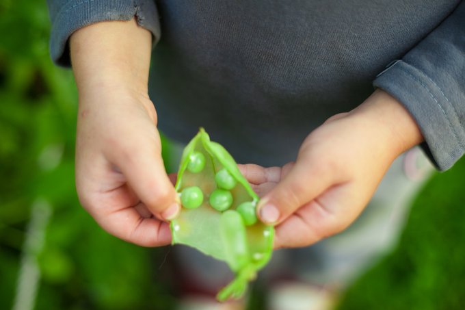 Join us and the Faculty of Public Health in a discussion of priorities for the National Food Strategy. 

We'll discuss how public procurement can be harnessed to support a transition to healthy &amp; sustainable diets, while tackling health inequalities ow.ly/IPxF50BKLXm