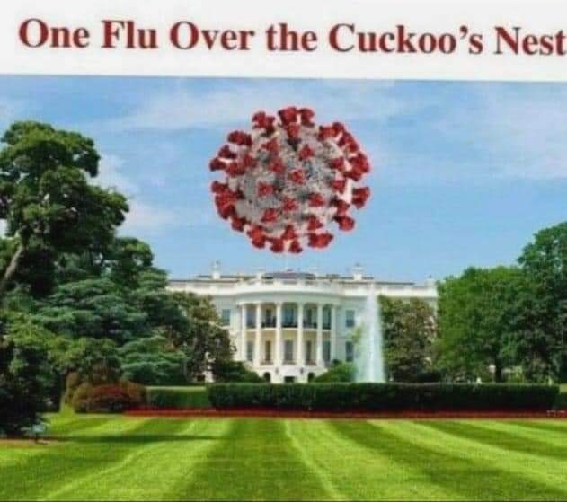 Swintonlad3's tweet photo. @mmpadellan @realDonaldTrump https://t.co/sw9yxw0TUX