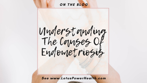digitalcatwalk's tweet photo. There are many theories on where #endometriosis comes from. 

In this article, learn more about the 9 most common causes of endometriosis which can help you understand the issue more. 

https://t.co/Fi1P1pLrKm via @LotusPowerHeal1

#womenshealth https://t.co/gJ72gzHmyC