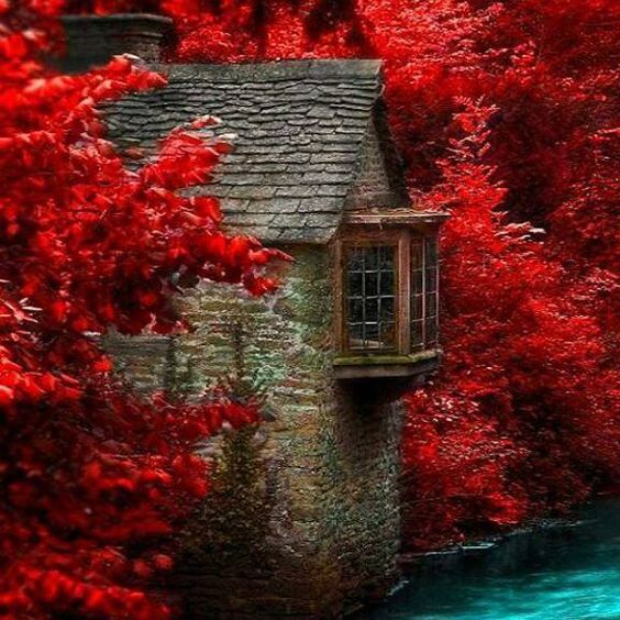 GiveThanksFirst's tweet photo. ❤️🍃🍂🍁😊

#love #fall #autumn #leaves #thankful https://t.co/tMLzn5ogqI