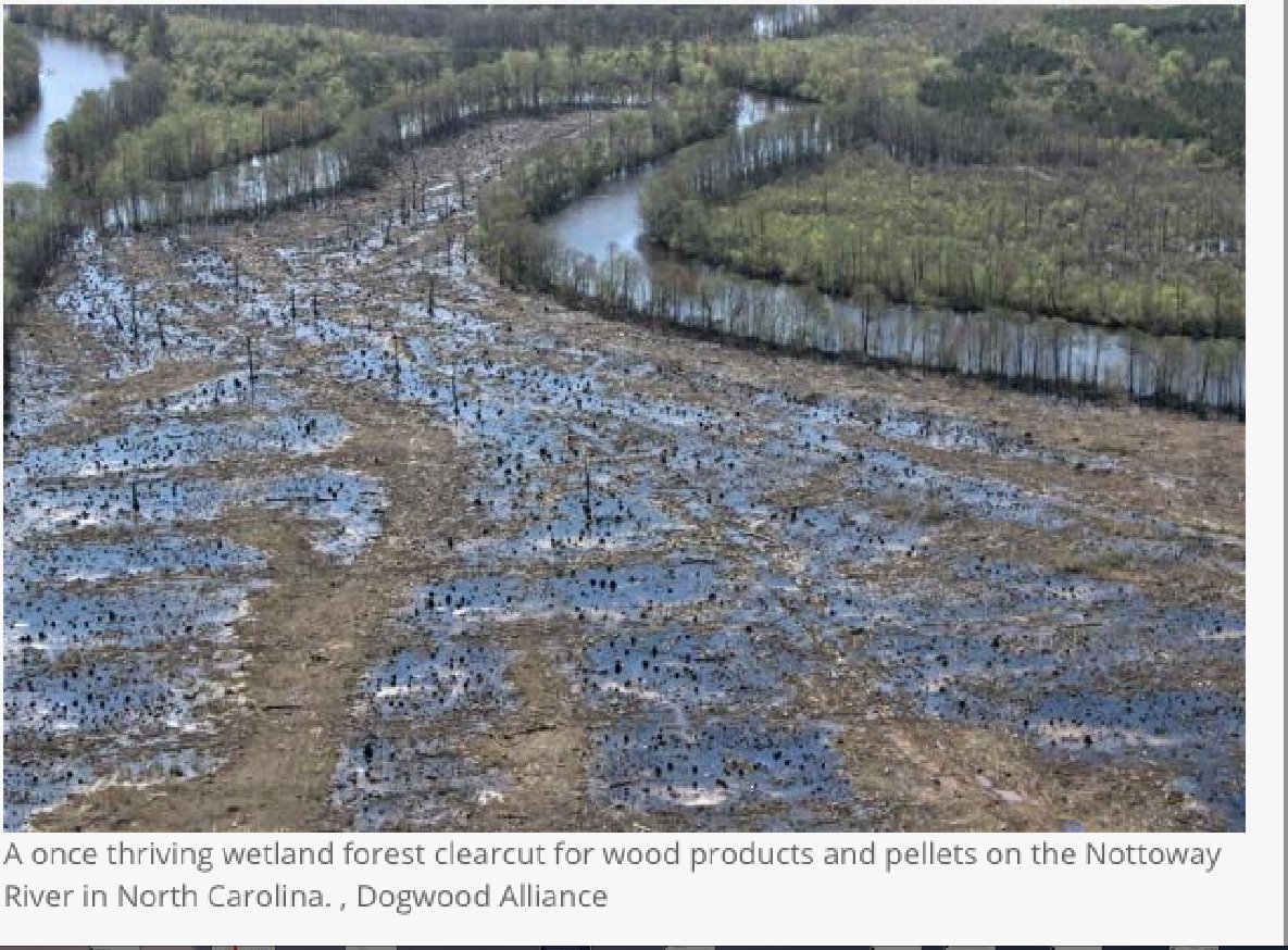 javon_kate's tweet photo. Dogwood alliance has published this picture of a wetland in North Carolina destroyed to satisfy European appetite for wood pellets to "address" climate change !!! https://t.co/aPsEXXFRfh