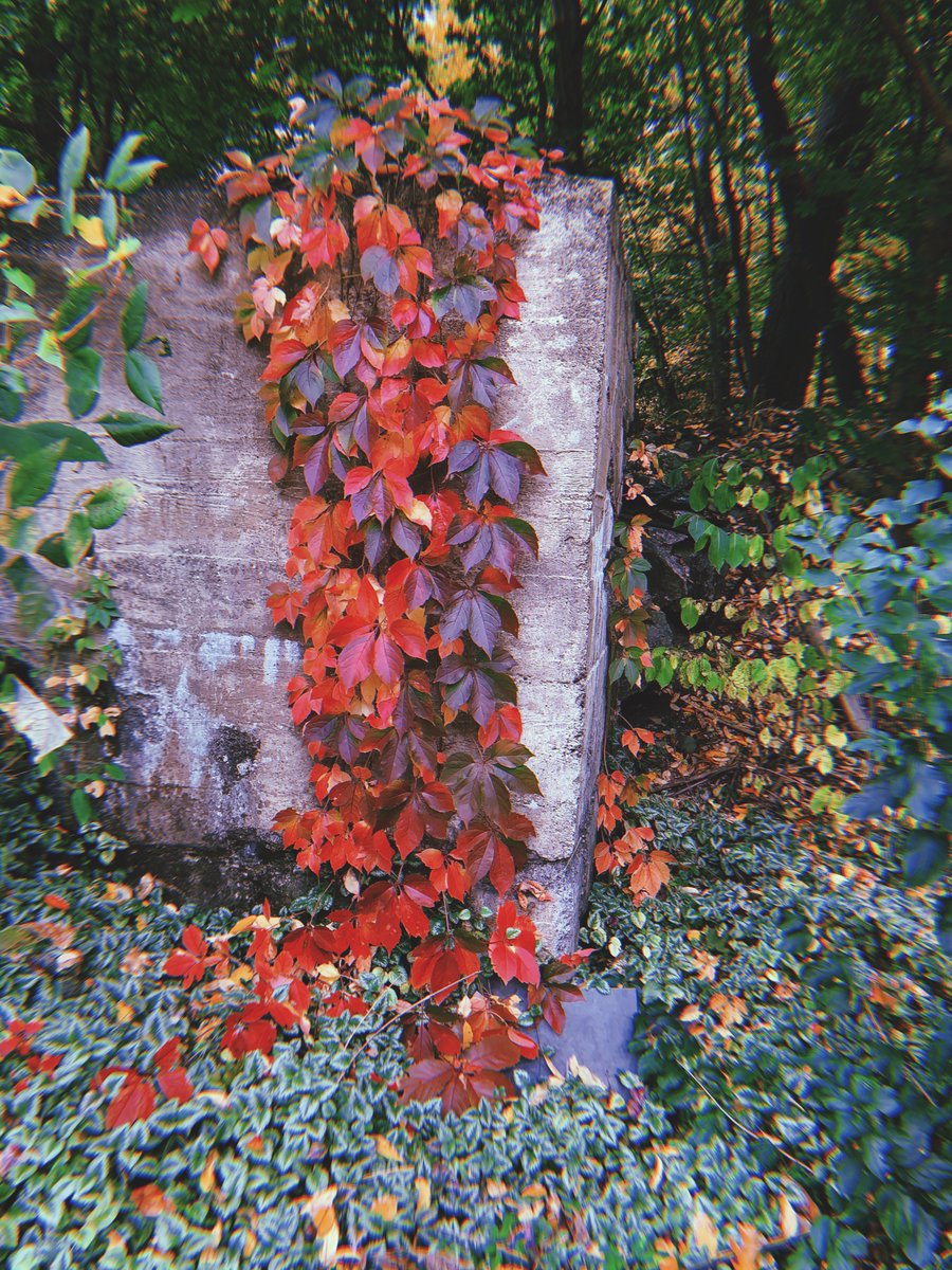 "The most important question anyone can ask is: what myth am I living?" - Carl Jung