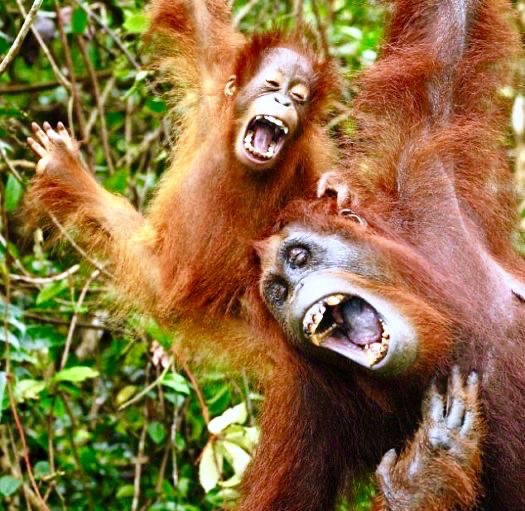 RichardDMartin's tweet photo. Regular spontaneous laughing with absolute abandonment is a brilliant way for increasing your well-being! https://t.co/tIn2wxxJi9