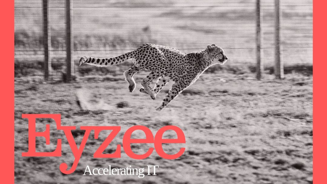 EyzeeSA's tweet photo. Czy wiesz że z gepardem jest jak z... dobrym samochodem, nie prędkość maksymalna, ale przyspieszenie ma prawdziwe znaczenie?
Dostarczamy usługi doradcze i rozwiązania IT skupione na jednym celu: dać Twojej firmie przyspieszenie. 
#aboutEyzee #acceleratingIT https://t.co/hq7xYp1hUg