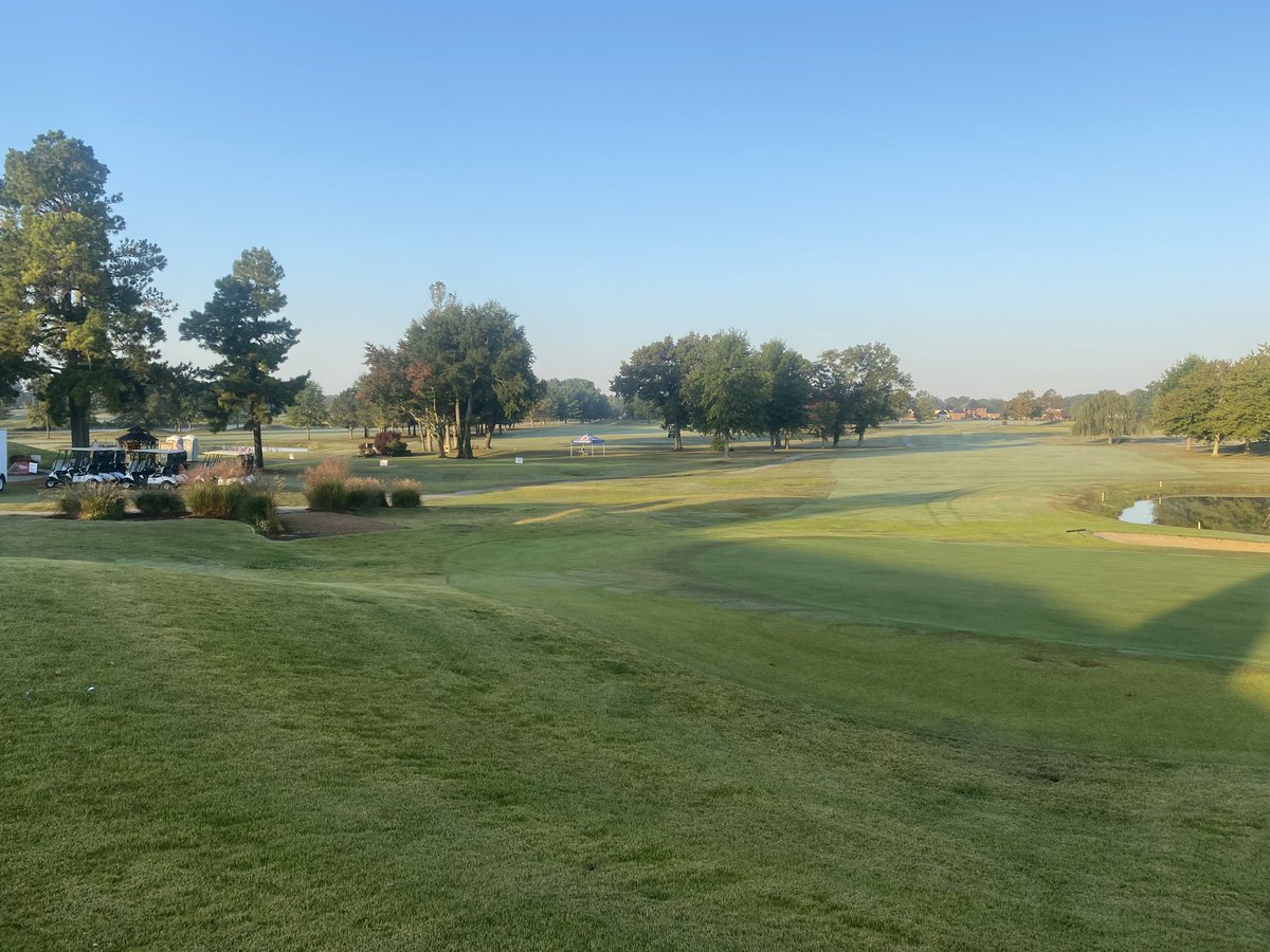 Tribe Golf tweet media