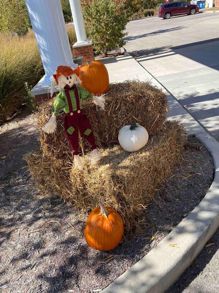 Hearthstone_HC's tweet photo. Things around Hearthstone are starting to look very fall like and festive! https://t.co/RH8Mc7TQPK
