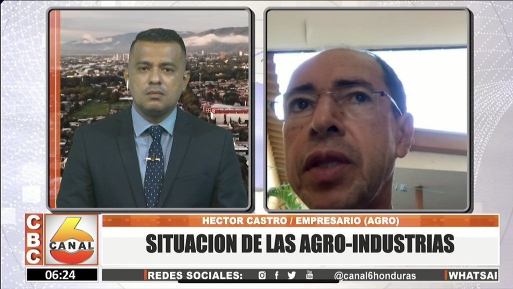 Canal6Honduras's tweet photo. #Noti6Matutino | “Este año la producción y venta de palma aceitera africana tiene un mejor año que los dos anteriores.”

#HectorCastro
- Empresario Agro https://t.co/8hbCjliSoC