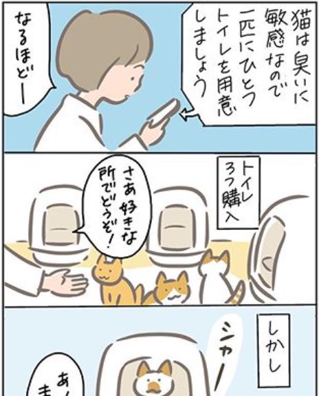 インスタ始めたらしいです。
ちょくちょくマンガも描くらしいです。
いきなり「猫」とか書いてますがウチに猫はいないと私は考えております。

https://t.co/6Z0QNxN7AU 