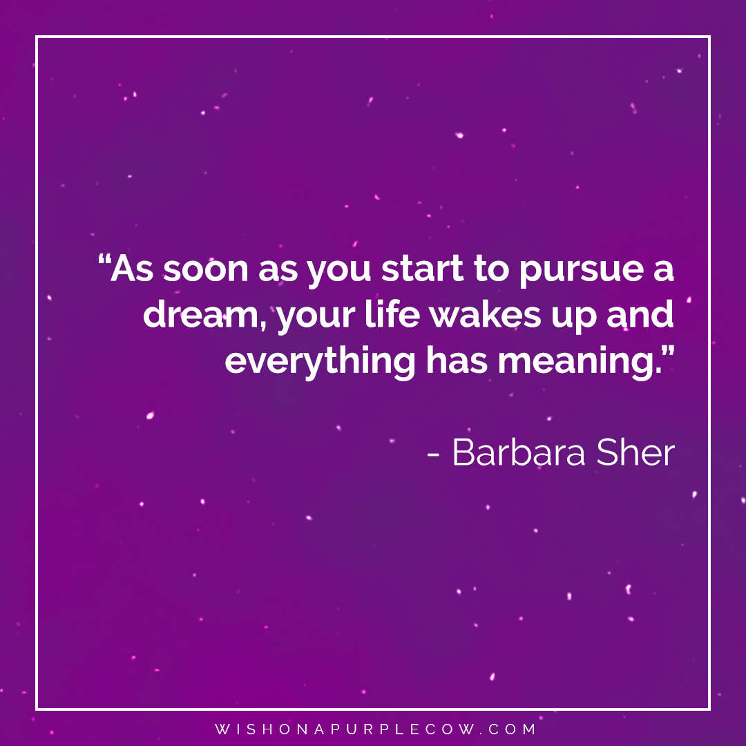 WishOnAPurpleCo's tweet photo. "As soon as you start to pursue a dream, your life wakes up and everything has meaning." - Barbara Sher https://t.co/BVb0V2XPEm