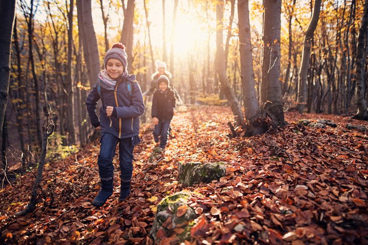 AlliedBehavior's tweet photo. There is nothing kids love more than dinosaurs! Follow this link for educational information and weekend fossil-hunting opportunities that help build strong brain architecture: #SundayFunDay #BSBTN https://t.co/eVdbJstBby #NationalFossilDay https://t.co/8BIry2Ii8j