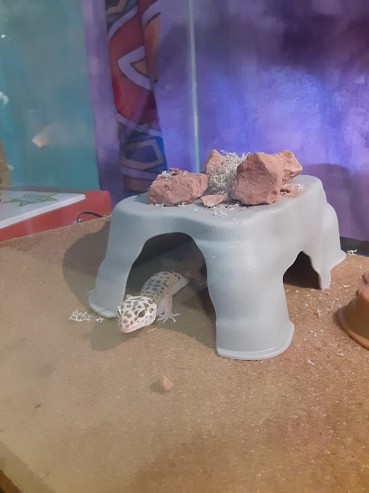 cinnamaddox's tweet photo. apollo thread bc i love him :) https://t.co/9pd3xM5RVi