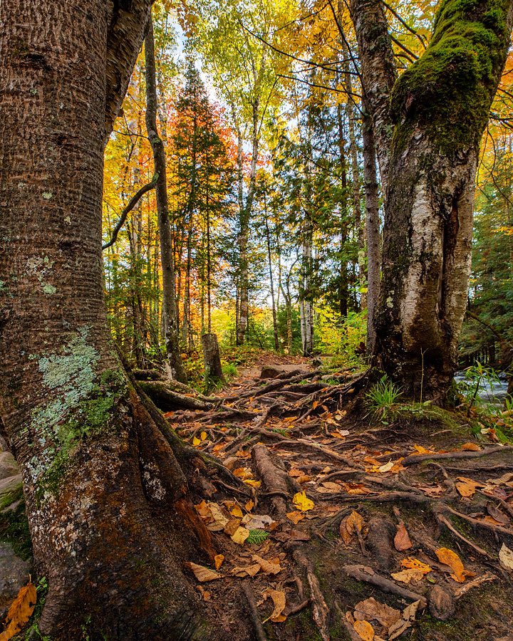 🍂 Sometimes it’s worth it to take the path less traveled.
📷 @fornearphoto
.
.
.
#up #upmichigan #puremichigan #travel #fall #autumn