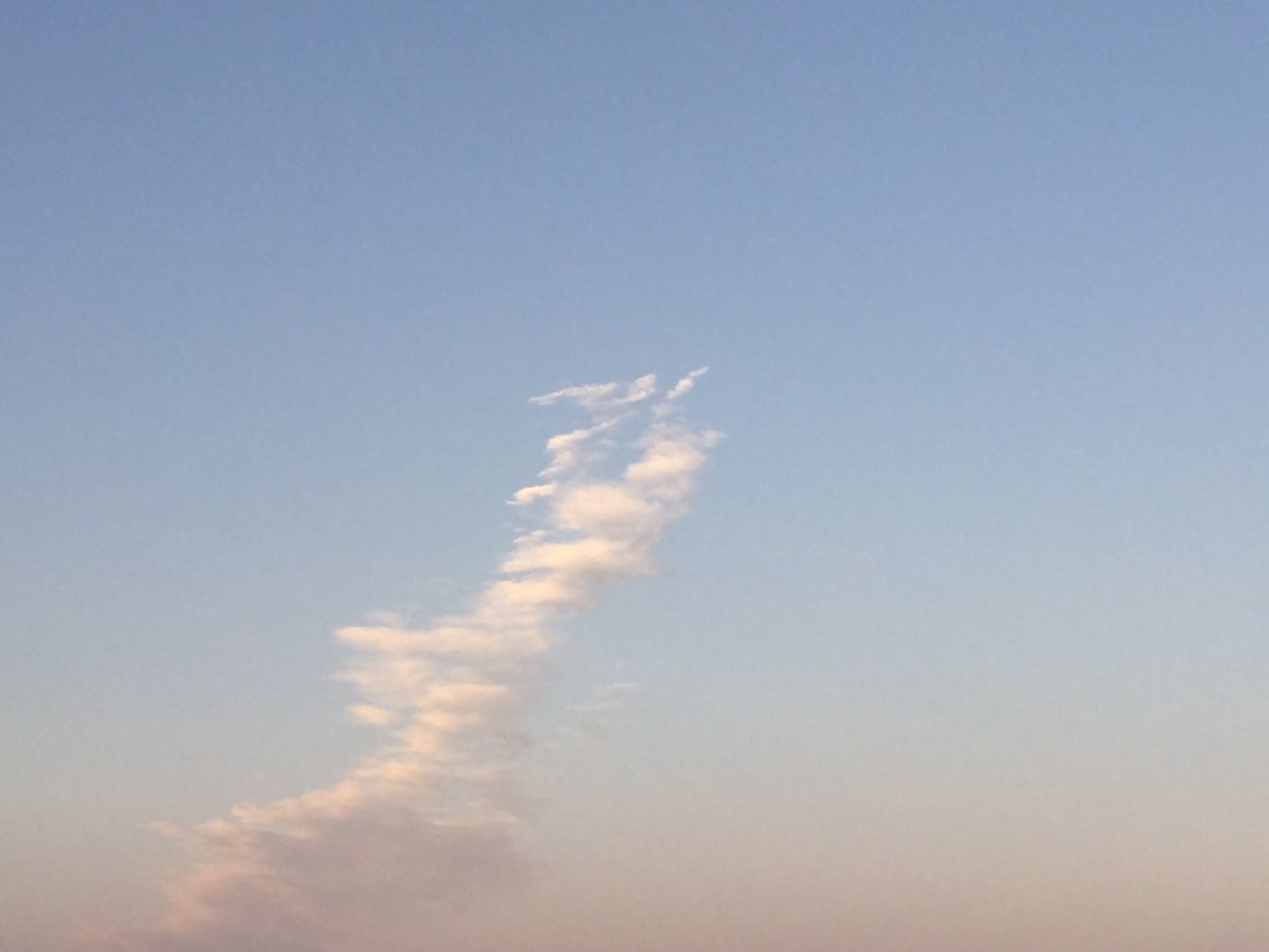 シャッポ爺 そういえば昨日 空を見上げたら 龍みたいな 雲が 昇り龍だね なんか良いこと有るかなぁ 昇り龍 雲