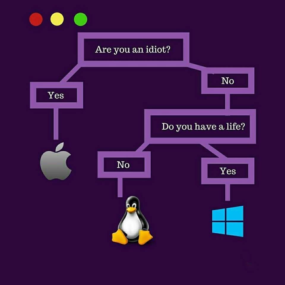 hungf_do's tweet image. Are you? 😂😂😂  

Follow page &amp;amp; get more relax 👍  
#programming_meme #funny_quotes #daily_quotes #coding #coder #javascript #ai #programmers #developer #coders #programming #python #js #programmingmemes #java #programmingjokes #programmerhumor