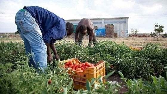 Tiresia_Polimi's tweet photo. #HUMUSJOB il caso al centro della lezione del corso di #SocialInnovation al @polimi: una startup innovativa a vocazione sociale che combatte il lavoro irregolare e il caporalato agricolo.⤵️
https://t.co/OKIqC22MDC https://t.co/TgFEEus2tT