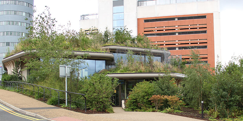 RoofingToday's tweet photo. Raising the Roof at @Maggie'sCentre Leeds https://t.co/F2ZTQdZzHV 'The hospital does not lose its last green space- it is lifted up, filled with woodland plants, and made more #accessible and inviting.' #roofing #greenroof #lanscapedesign #greenspace #garden @Greentechltd https://t.co/FHgyzbZNts