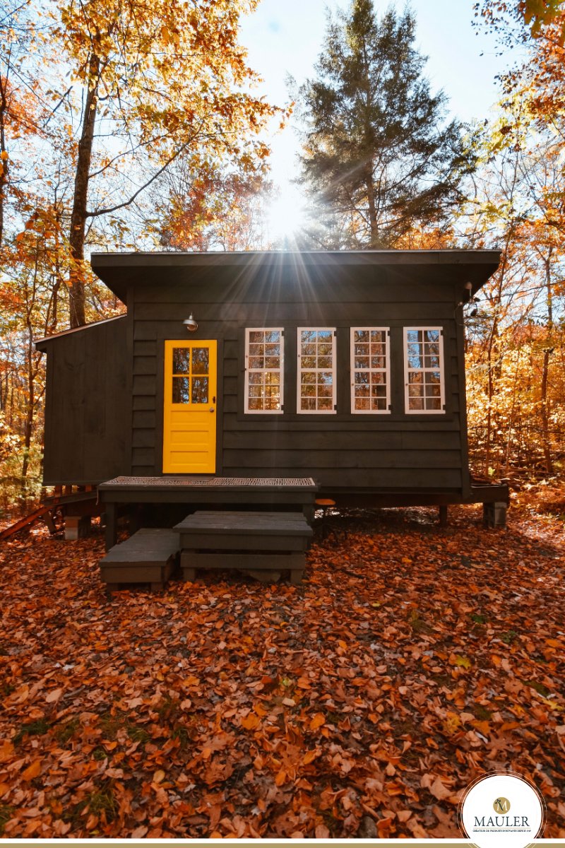 LeTerrierBlanc's tweet photo. Es ist Herbst (für diejenigen, die es noch nicht bemerkt haben 😂) und der perfekte Zeitpunkt, um Ihre Hölzer im Freien zu schützen.
Einfache Renovierung mit No Limit Allesfarbe Outdoor: https://t.co/0dcztEms5j
#Allesfarbe #Outdoor #NoLimit #Renovierung #DIY #Holzschutz #Holz https://t.co/2cWm4ZPrcP
