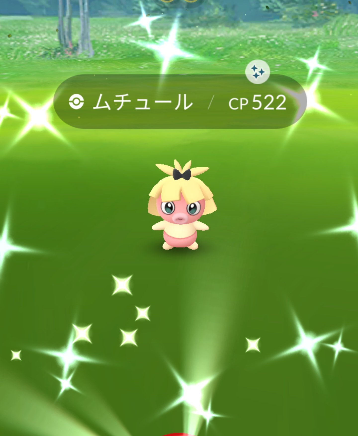 リボンムチュール Twitter Search Twitter