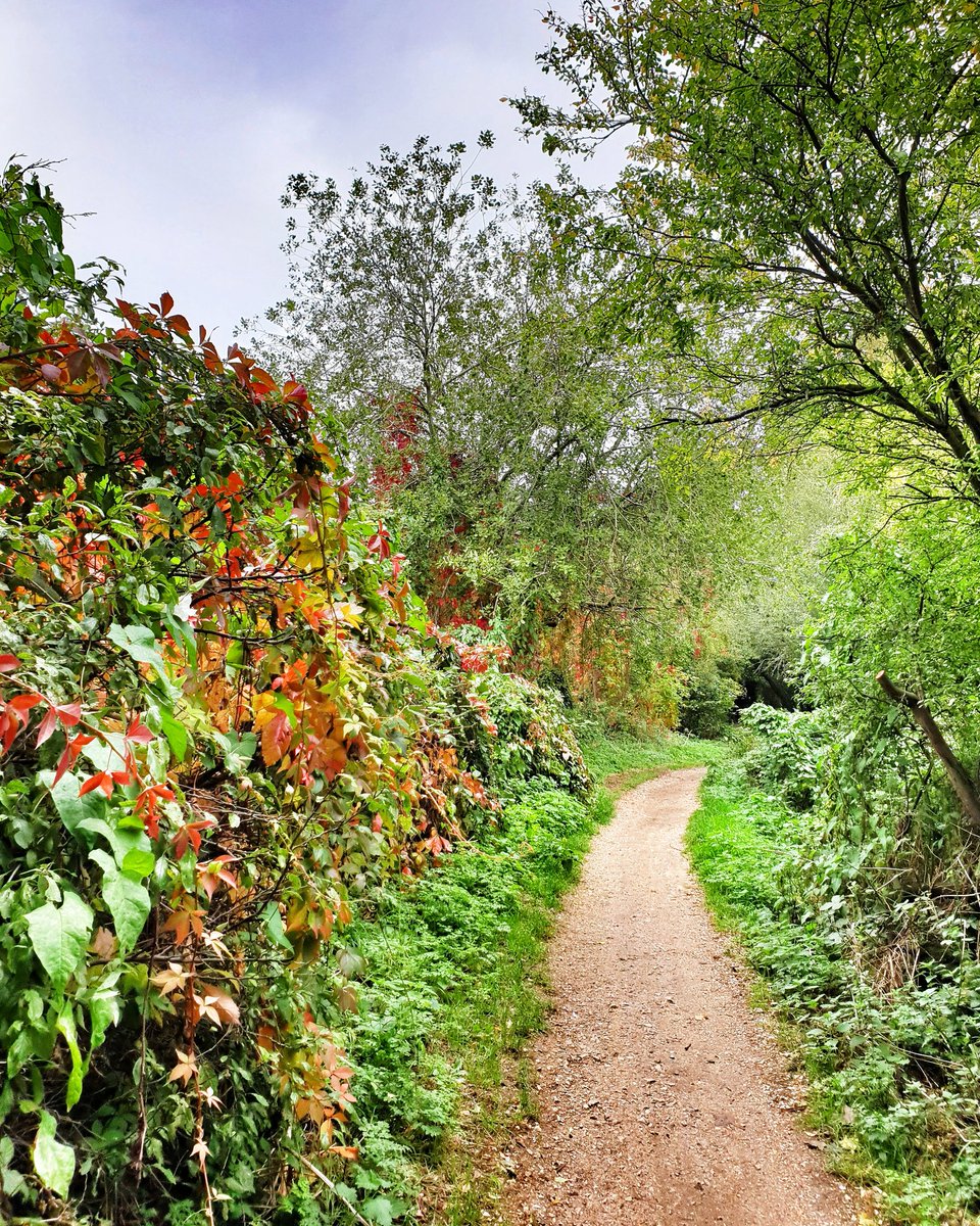 TomTheNextLevel's tweet photo. A few autumn pics from here in #London #SW19 to cheep up your day 🍃🍂🍁🌞😚💜 #HiddleStoners #HiddleSisters #October2020 https://t.co/6lPuq2rCmy