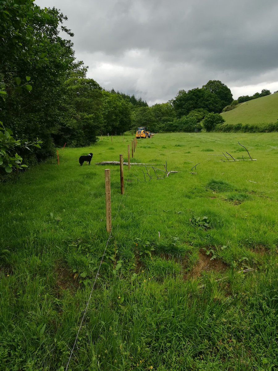 cvfarming's tweet photo. Just don't some rough number crunching, we have spent about 50-60k on farm improvements this year, a lot in itself. But when annualised over a 20yr tenancy it's more manageable. The key if you want your farm invested in landlords; length of tenancy term. https://t.co/k0soLcNPXM