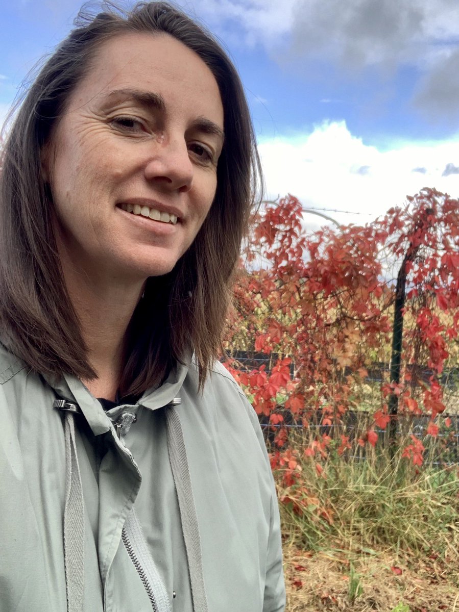 stepupformarie's tweet image. Today. I’m wearing green for Marie 💚💚 #GoGreenforCP ##WorldCPDay @WorldCPDay @mariefootball5