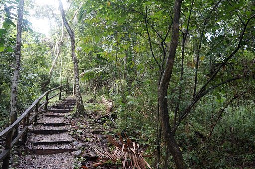 Are you getting ready to travel again? #Panama is ready to receive you with the most up to date safety and comfort guidelines and the trails are all yours.
For more details:
visitpanama.com/information/tr…
#safetravels #visitpanama #discoveredbynature #ecotourism #familytravel #birding
