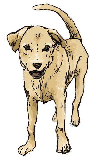 タイイラスト 番外編 タイの野良犬です 私はイヌが大好きです タイ イラスト Illustration Illust Thailand T Co Ishhsr4quy Twitter